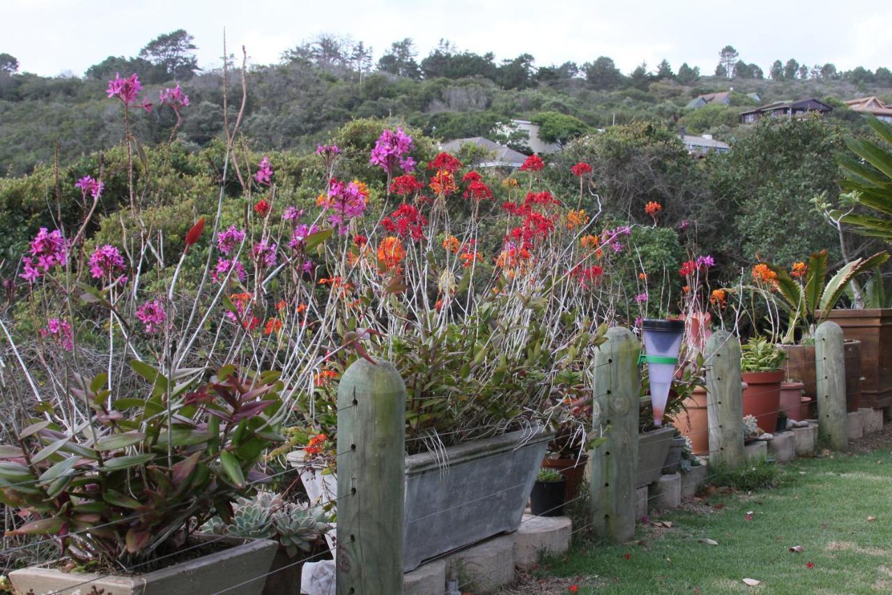Apartamento Imperani Plettenberg Bay Exterior foto